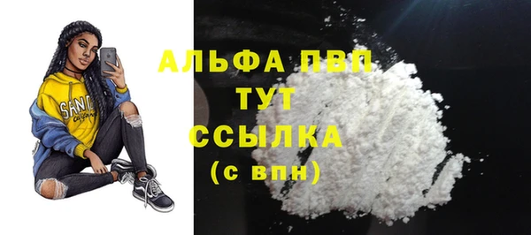 прущий лед Богданович