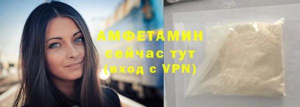 прущий лед Богданович