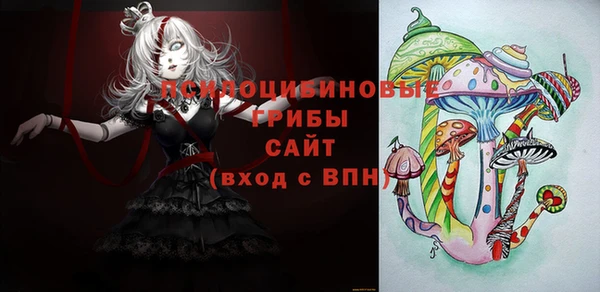 прущий лед Богданович