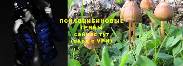 прущий лед Богданович