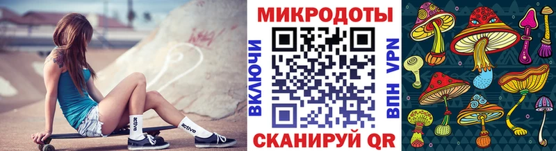закладка  Южноуральск  Псилоцибиновые грибы Cubensis 